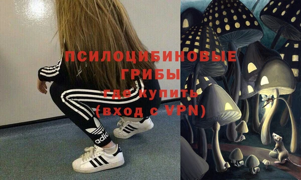 мдма Новодвинск
